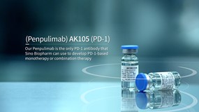 派安普利（PD-1单抗）一线治疗鳞状非小细胞肺癌上市申请获NMPA受理