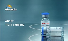 在线体育博彩开坦尼（PD-1/CTLA-4双抗）联合TIGIT单抗（AK127）治疗实体瘤临床试验在澳洲完成首例患者给药