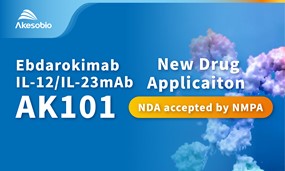 The NDA Acceptance of IL-12/lL-23 Monoclonal Antibody Ebdarokimab for Moderate-to-severe Plaque Psoriasis by China NMPA
